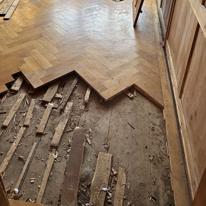 Foto Boden SchwanenA.jpeg