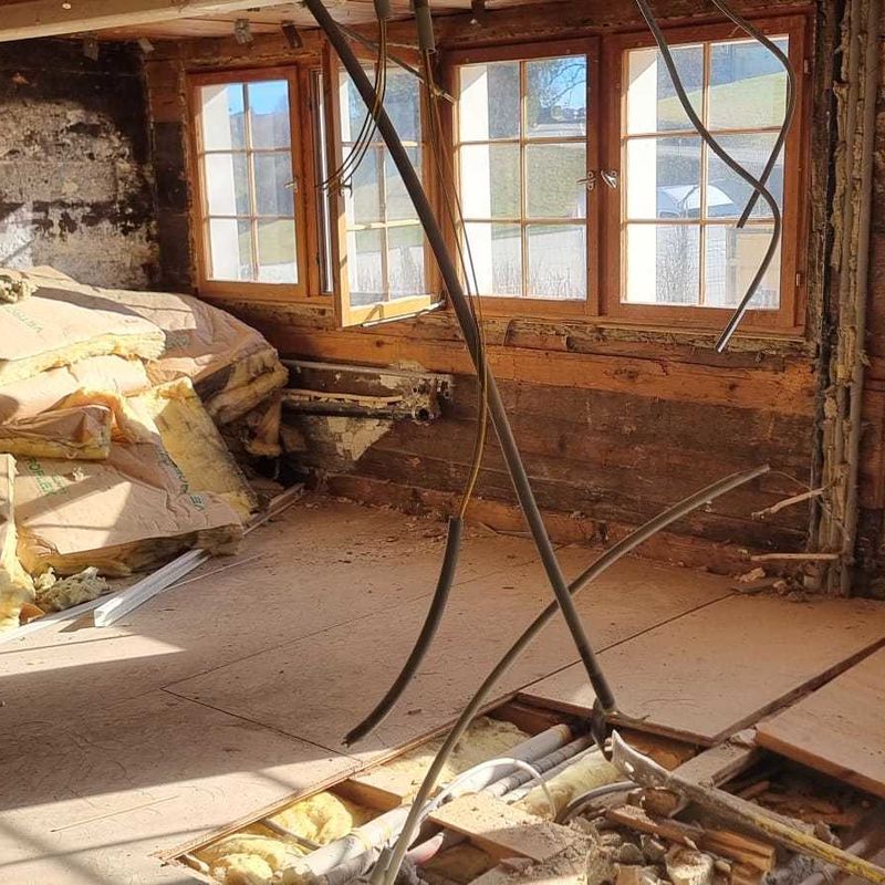 Schwanen 25.02.26 3.jpeg