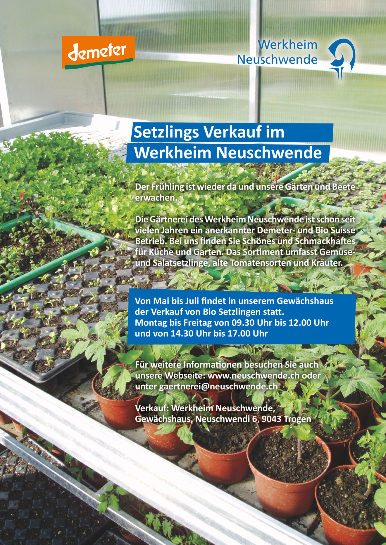 Unser Setzlingsverkauf startet bald wieder