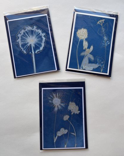 Cyanotypie-Kunstkarten